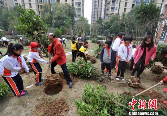 资料图：福州仓山区第五中心小学的师生和志愿者在校园开展植树活动。　张斌 摄