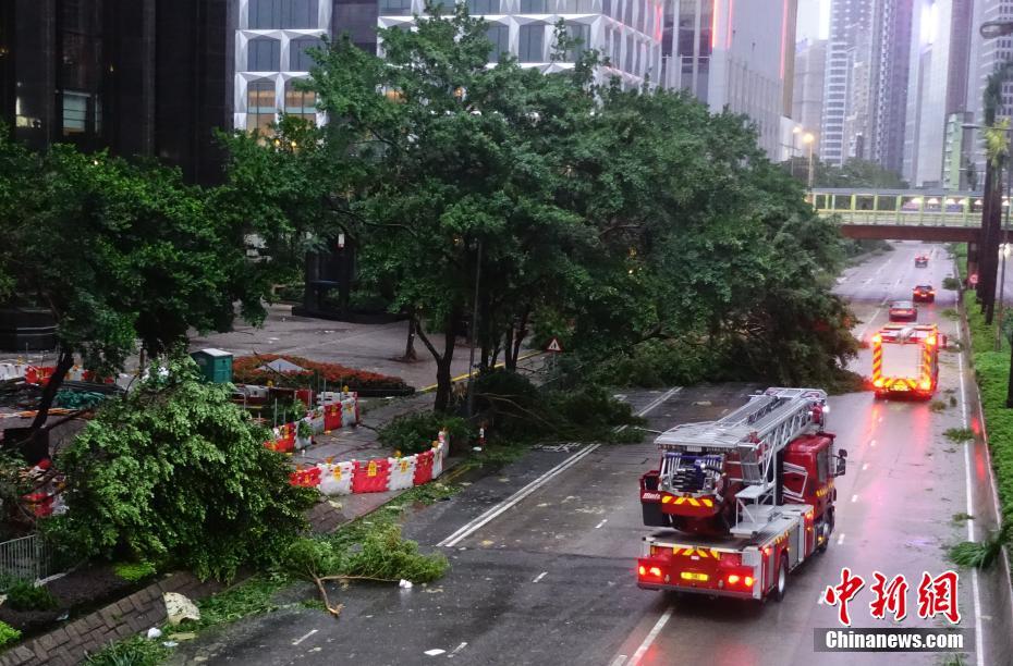 强台风 山竹 袭击香港 大量树木倒塌-中工新闻