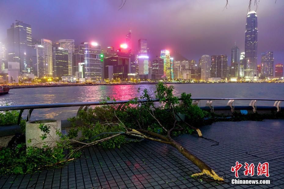 强台风 山竹 袭击香港 大量树木倒塌-中工新闻