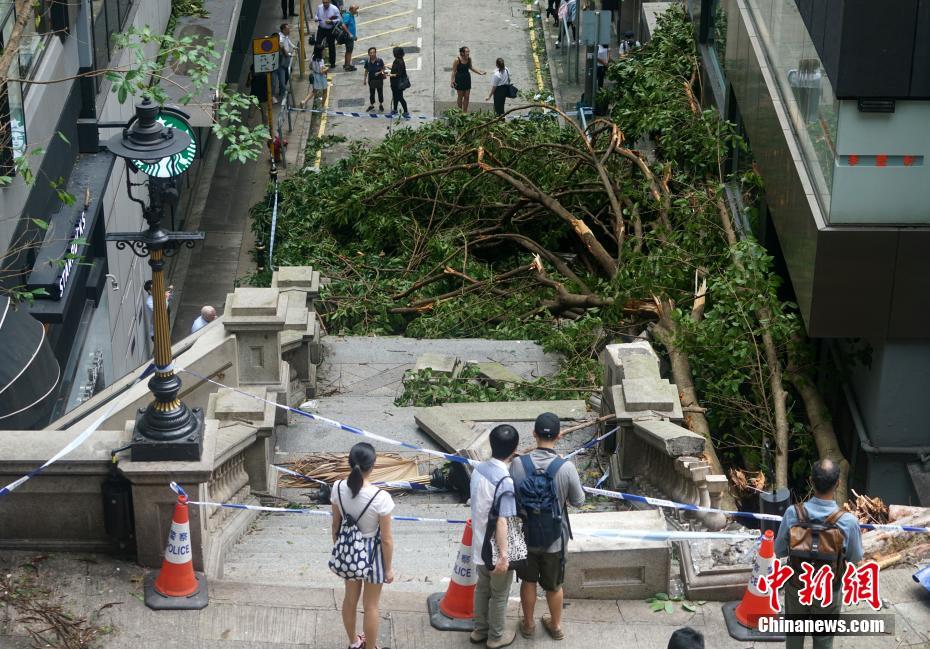 超强台风山竹吹袭 香港安然渡过-中工新闻-中工